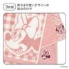 Towel Laboratory Disney Character #023 Face 3-piece Set Soft Fast Absorbent 100 Cotton Low Lint Gift Japan Technology