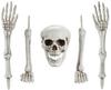 Decoration Skeleton Bones Skull Hands Legs 5 Pcs