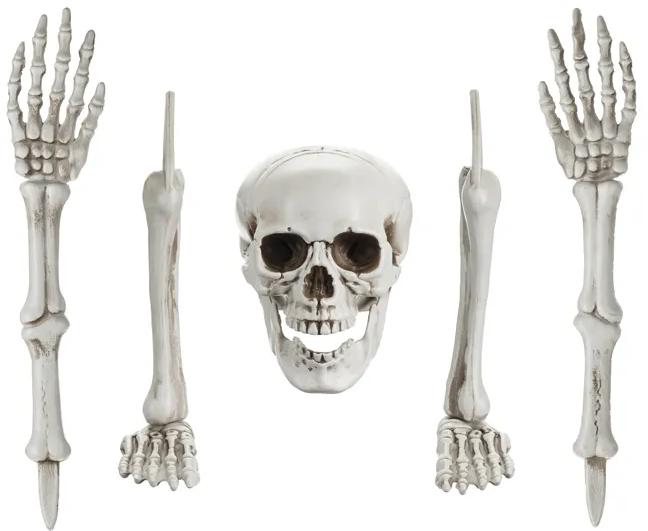 Decoration Skeleton Bones Skull Hands Legs 5 Pcs