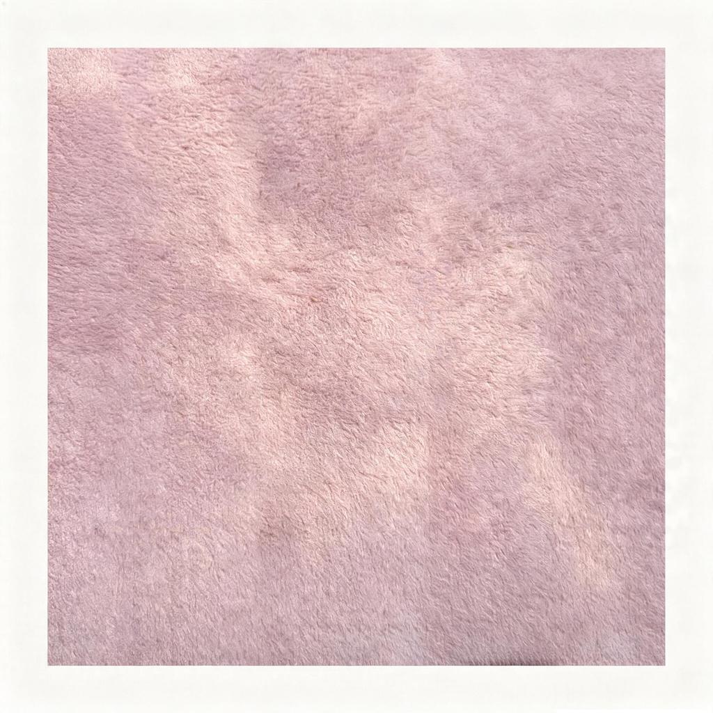 Solid Color Coral Fleece Carpet for Bedroom, Living Room, or Balcony - Full Coverage Mat for Bedside, Bay Window, or Coffee Table.