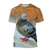 Pigeon Wildlife Portrait Nature Scene 3D All Over Print Short Sleeve T-Shirt Casual Top
