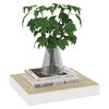 VidaXL Wall Shelves 4 Pcs Oak and White 23x23.5x3.8 Cm MDF