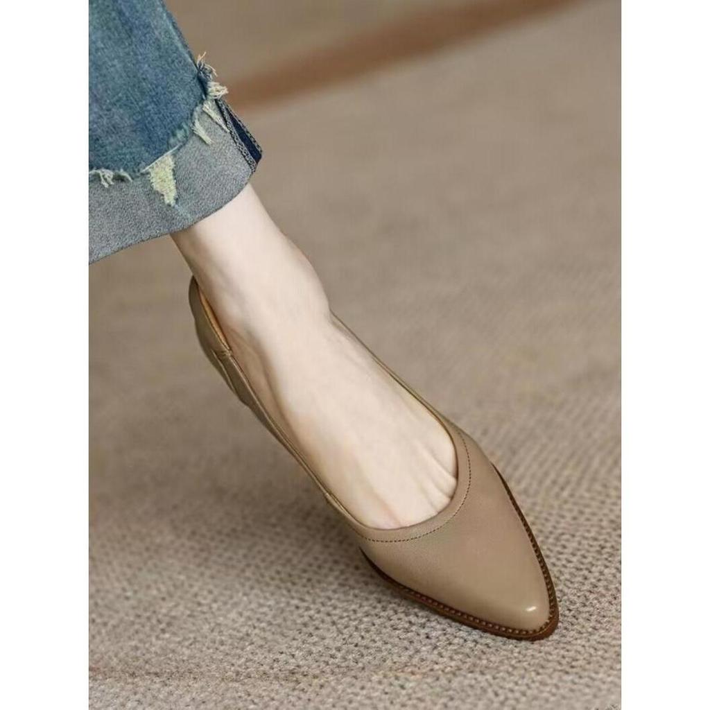 Retro Polished Thick-heeled Single Shoes for Women In the Spring and Autumn of 2025, the New Pointed Head, Shallow Mouth, Simple Commuting, One-pedal