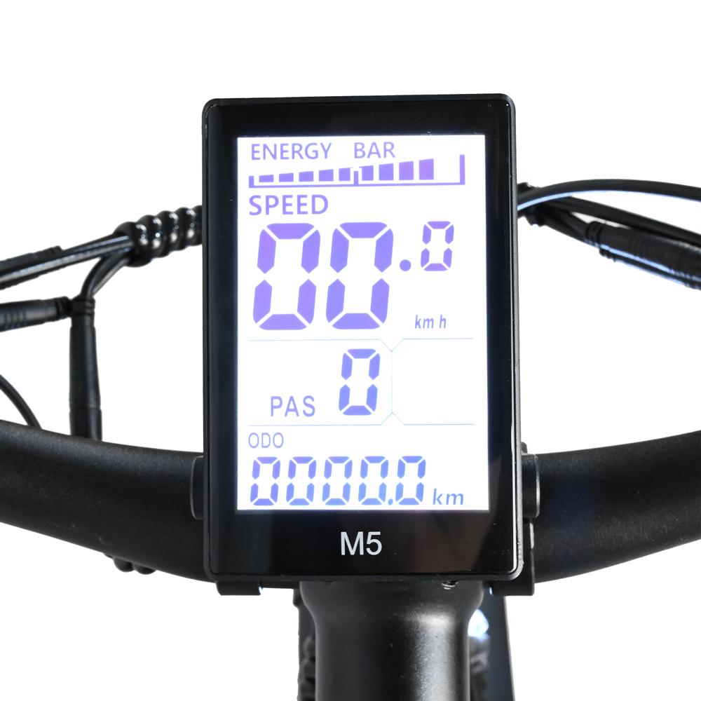 BAOLUJIE DP-2619 Speichenrad Erwachsenen Elektrofahrrad 750W Motor 48V13AH Batterie 26*4 Zoll Fat Tire E-Bike Mountain Offroad Elektrofahrrad