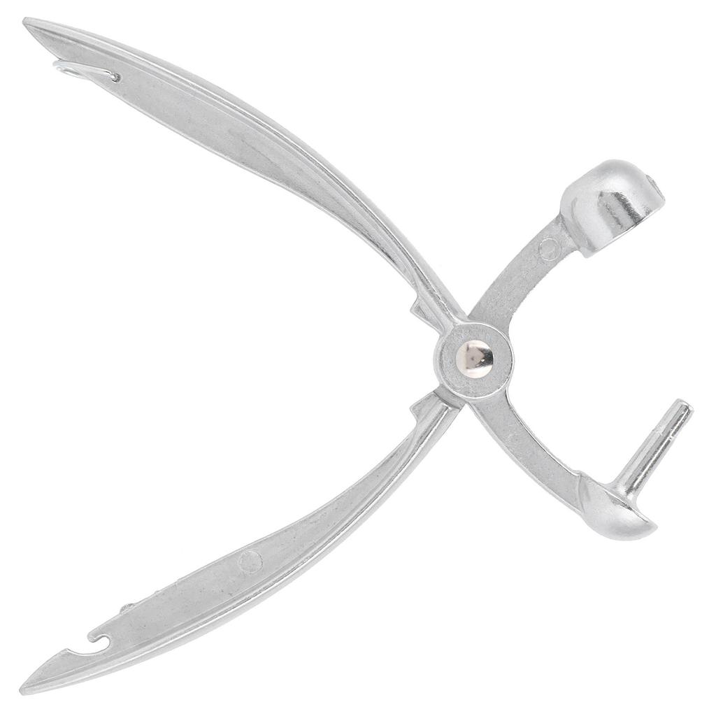 Kirsebærfrøfjerner Pitter Aluminiumslegering Olivenkjernefjernerverktøy Kjøkkenutstyr