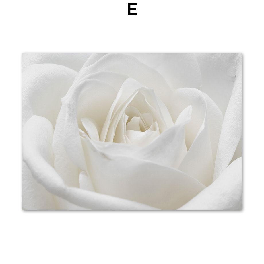 Hvit Peonrose Blomst Enkelhet Lerretsmaleri Nordiske Plakater Trykk Planter Romdekor Veggkunst Bilder Hjemmedekorasjon