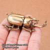 3 Style Available Beetles Miniature Figurine Small Desk Decoration Vintage Copper Insect Tea Pets Ornament Home Decor Accessory