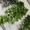 Ivy Hanging Greenery Vine Artificial Plants Wall Decor Living Room Gift Home