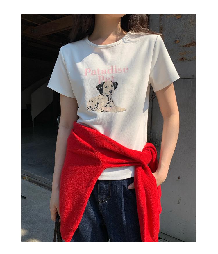 Spring 2025 Cute Cartoon Print Short-Sleeved Girlish T-Shirt