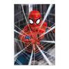 Poster Spider-man Webs Marvel Comics