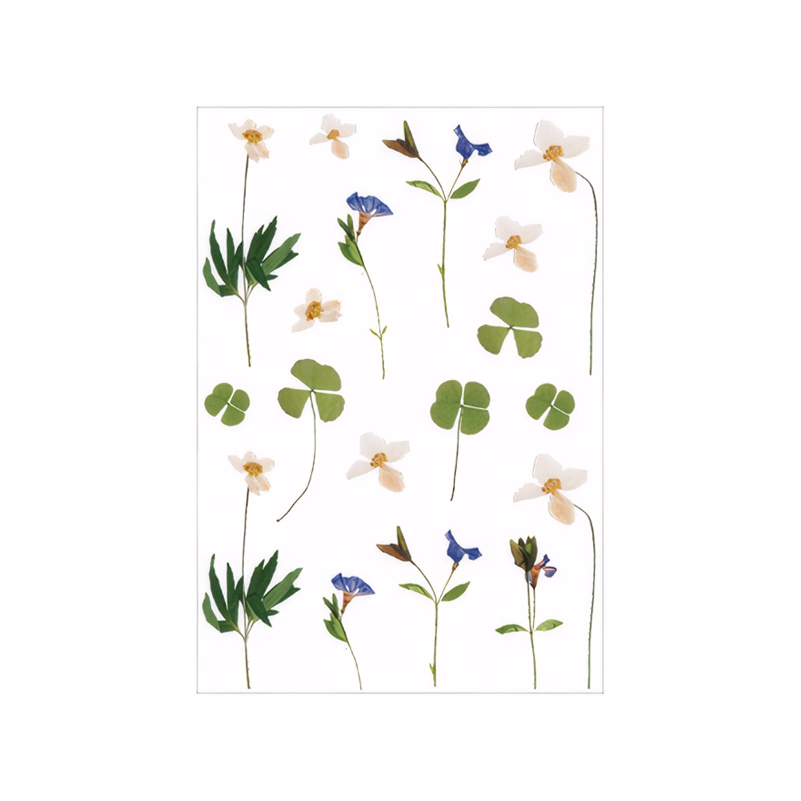 Милые наклейки с изображением домашних животных в виде ромашек для прозрачного скрапбукинга Изысканные и милые цветы для скрапбукинга