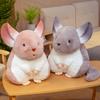 Hamster Kissen Niedliches Plüschtier Chinchillas Plüschpuppe Weiches Spielzeug Stofftiere Maskottchen für Kinder Weihnachtsspielzeug Niedliche Kissen Plüschtier