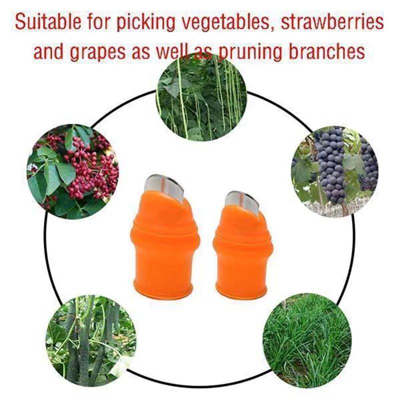 Picking Vegetable Thumb Knife Picking Pepper Bean Angle Iron Nail Picking Vegetable Picking Agricultural Picking Magic Tool