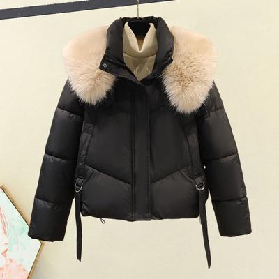 Winter Down Jas Gewatteerd Bont Capuchon Opstaande Kraag Zakken Ritssluiting Parka Band Decor Winddicht Warmtebehoud Dagelijks Koud Weer Buitenkleding Katoenen Jas