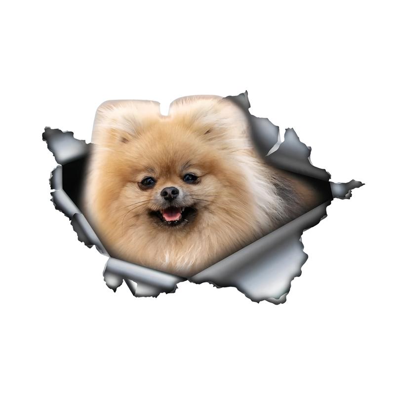 Cute Pom Car Stickers Scratch Blocking Self-Adhesive Waterproof Decal, Used for Car, Laptop, Motorcycle, Van, RV
