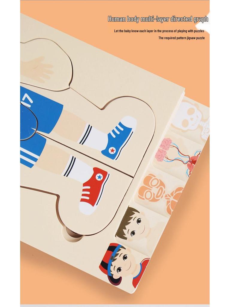 Wooden Multi-layer Body Structure Puzzle for Kids Ages 3-10 - Educational Toy for Early Learning