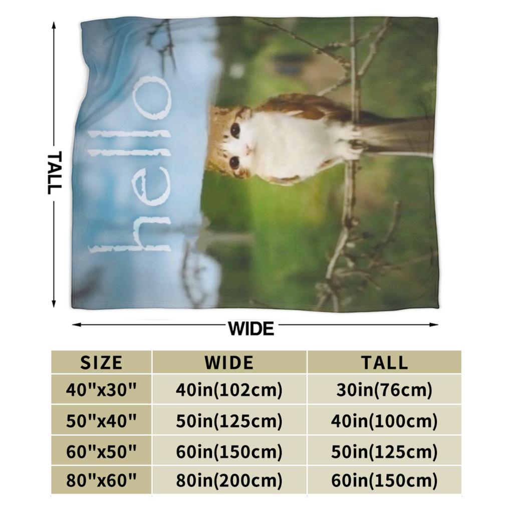 Hello Meowl CatOwl  Blanket Flannel Decoration  Multi-function Ultra-Soft Throw Blankets for Bed Couch Bedding Throws