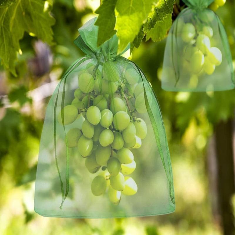 Sacchetti di Protezione Frutta Verdi S/M/L con Coulisse Sacchetti Traspiranti in Garza Per Proteggere da Uccelli Insetti Sacchetto di Chiusura Frutta