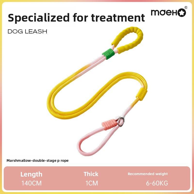 Pet Dog Traction Rope With Leather And Nylon Material For Small Medium Dogs Indoor And Outdoor Use