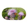 Small Flower Green Plant Map Balcony Bathroom Mat Hydrophobic Non-Slip Door Mat Swimming Pool Public Places Non-Slip Floor Mat