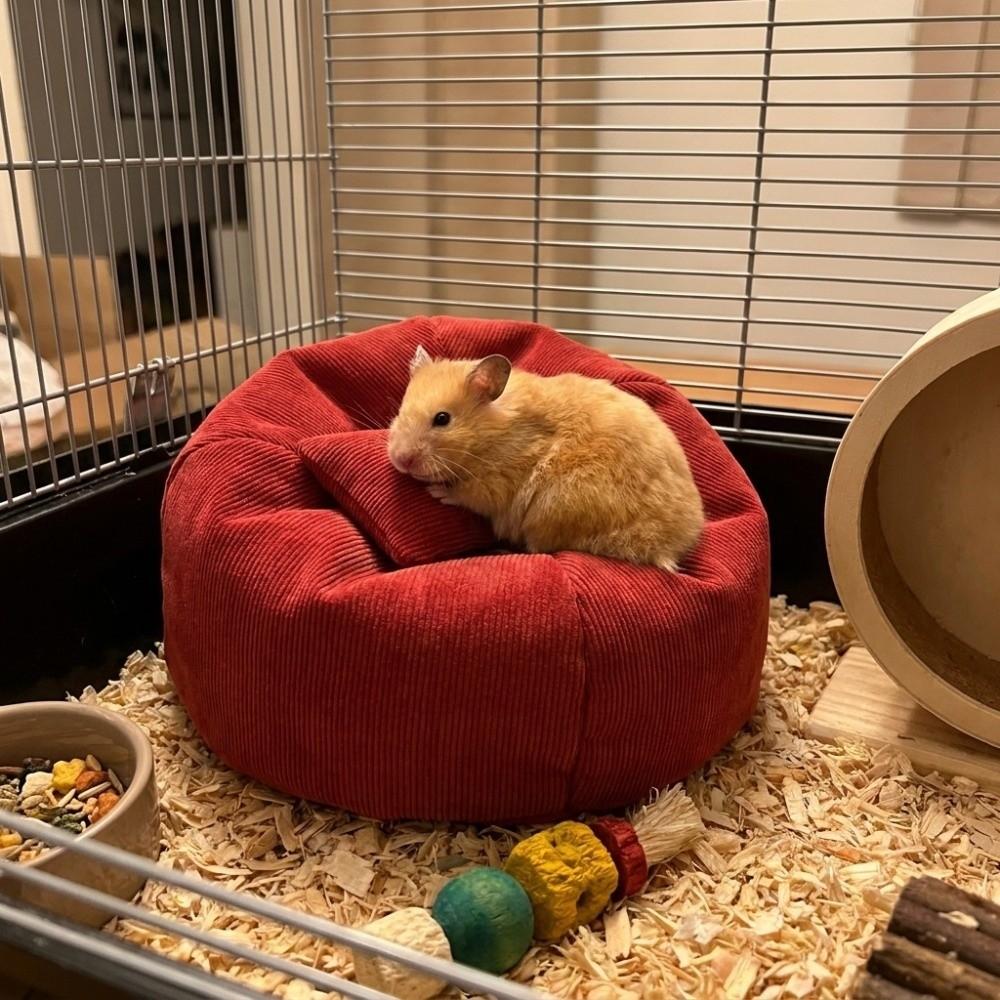 Warm Hamster Nest Soft Sleeping Bed Funny Pet Sleeping Mat  Cage Accessories