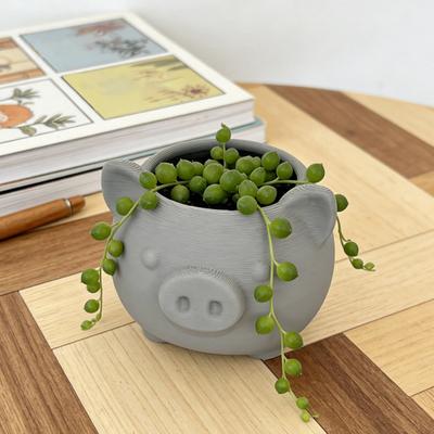 3D Printed Cute Pig Planter Cartoon Animal Shaped Cactus Flower Pot with Drainage Hole for Home Office Desk Decor