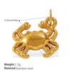 Ocean Element Conch Shell Pendant Accessories Stainless Steel Gold-Plated Beach Wind Accessories