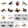 Realistic Pvc Insect Bees Spiders Model Set For Science Education And Collection Display