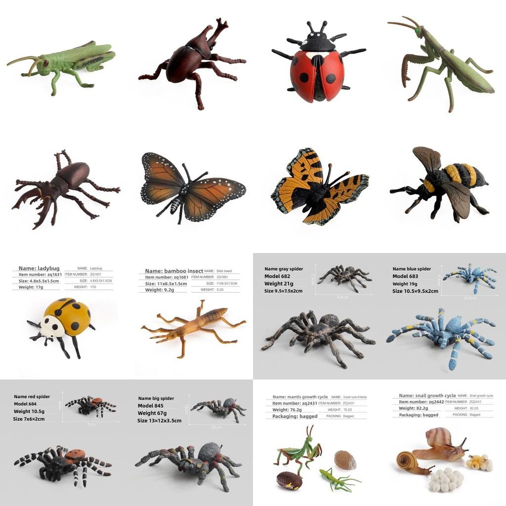 Realistic Pvc Insect Bees Spiders Model Set For Science Education And Collection Display