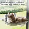 Detachable Cat Hammock No-punching Securely Mounted Cat Window Perch Easy Installation Stable Space Capsule Cat Bed Indoor