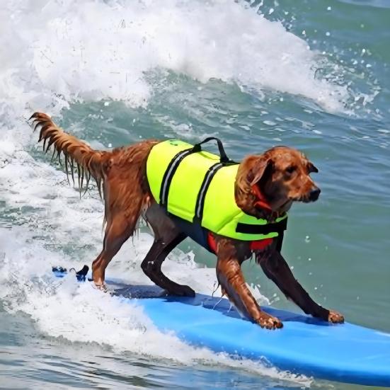 

Life Jacket Reflective Dog Flotation Safety Vest with Rescue Handle for Swimming Boating Surfing Adjustable Lifejacket Swimwear for Small Medium Large XXS фарби люмінесцентні зелений колір