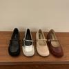 Raised thick sole with skirt female spring and autumn new French retro fairy style silver French casual Mary Jane shoes