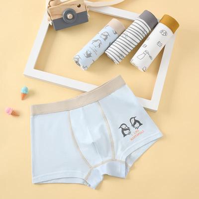 Antibacterial Cotton Boxer Briefs for Boys: Ages 10A+ - Toddler To Teen