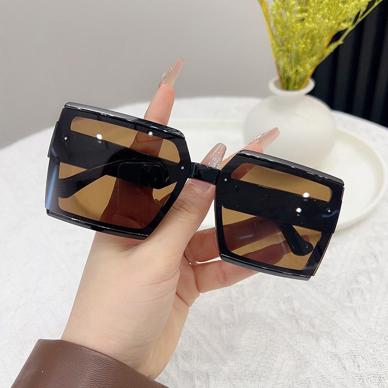JYL TS Fashion Sunglasses Men UV Protection  Street Shot WF8855