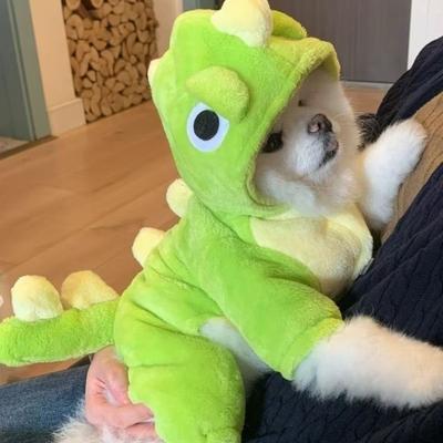 Neuer Stil von kleinem Dinosaurier verwandelt in Welpenkleidung, Flanell warm Teddy Bichon Frise Katze Haustierkleidung für Herbst und Winter