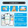 Starway Pocket WiFi Mobile Wi-Fi 1GB 10 Days