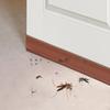 1PC 1m/39.37inch Door Bottom Sealing Strip Self-adhesive Living Room Soundproof Strip Door Draft Stopper Draught Excluder Insect
