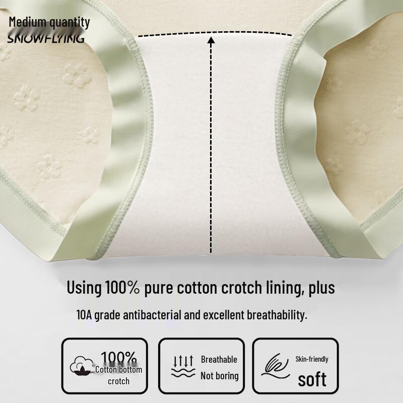 SNOWFLYING Women's 4-Pack Seamless Cotton Antibacterial Briefs