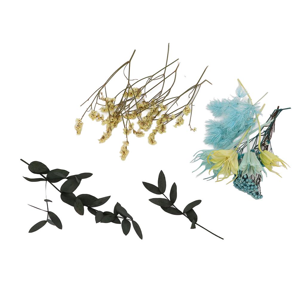 Dried Flowers Natural Odorless Exquisite Bouquet Making Materials DIY Dried Flowers for Tabletop Party Decoration
