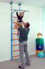 Wallbarz Family gymnastics ladder