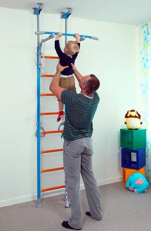 Wallbarz Family gymnastics ladder