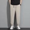 Summer Thin Ice Silk Men's Casual Pants Straight Trend Versatile Loose Sports Casual Pants Men's Clothing