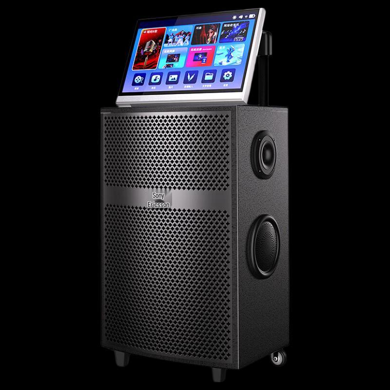 Soaiy X66A Portable Karaoke Bluetooth Speaker System (CN version)