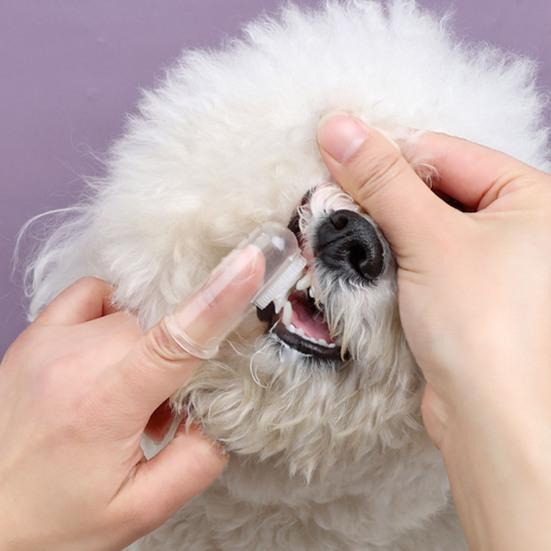 Yousheng Dog Toothbrush Kit Portable Teeth Care Ergonomic Design Oral Cleaning Soft Bristles Pet Dental Solution Toothpaste Kit Daily Use