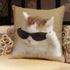 Cat Funny MEME Pillow Case Pillowcase Doublesided Printed Sofa Cushion Bedroom Headboard Pillow