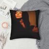 Practical-Magics Pillow Case  Comfy Pillow Cover Kawaii Pillowcases For Sofa Home Decor