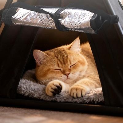 Minimalistisches tragbares Outdoor-Haustierzelt faltbar Oxford isoliertes Hundehaus wasserdicht abnehmbares Katzen-Tipi-Zelt Auto-Reise