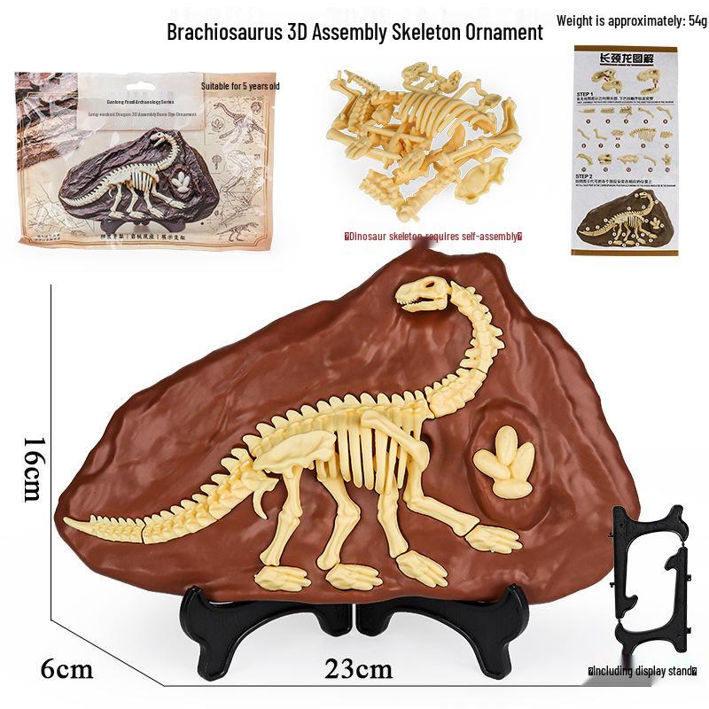 Jurassic Dinosaur Fossil Model Toy Set: Pterodactyl, Brachiosaurus, T. Rex & Stegosaurus Skeletons for Kids