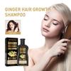 Ginger Anti-Hair Loss Shampoo 100ml - Herbal Natural Shampoo for Oil Control, Hair Growth, Thickening, Anti-Hair Loss, and Strengthening.