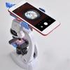100-1200X Mini Microscope Biological Science Lab Tool Kids Early Learning Toy